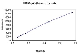 Eurofins DiscoverX Cdk5/p25 Protein, Active 10 &mu;g | Buy Online | Eurofins DiscoverX | Fisher Scientific